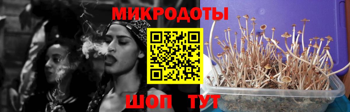 Псилоцибиновые грибы Magic Shrooms  Вход с VPN  Дюртюли  Псилоцибиновые грибы Psilocybine cubensis 